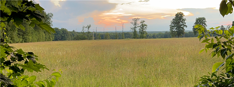 Natures Frame - South Road