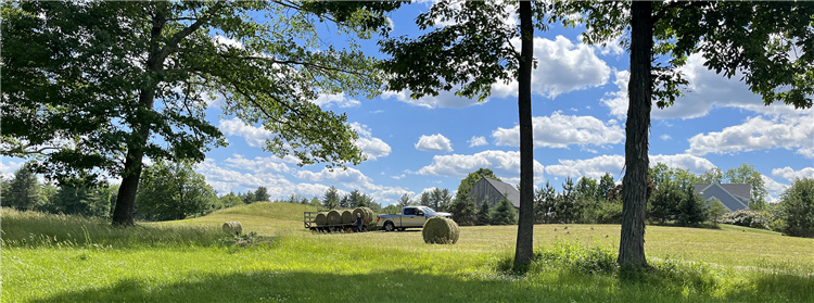 Working Hayfield