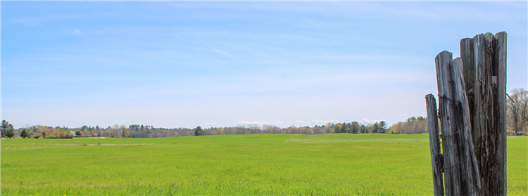 Historic Farm Land