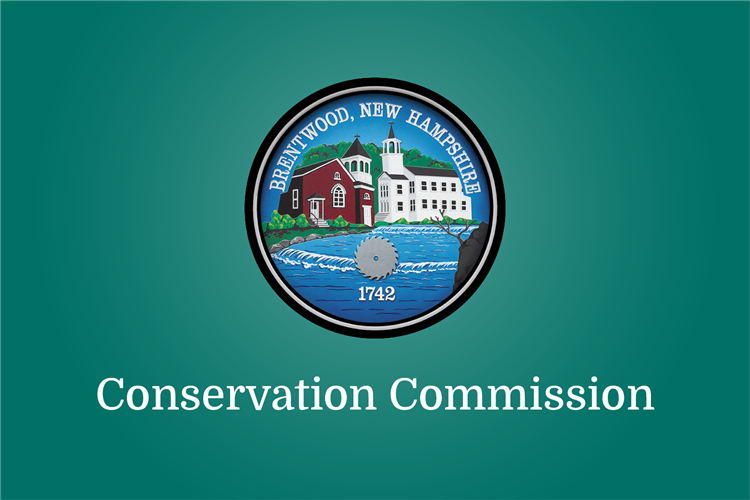 Cons Comm - Comm Pg Image