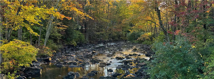 Downstream from Pickpocket Dam